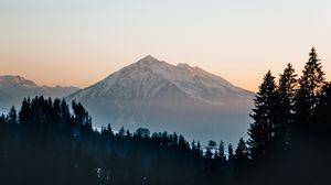 Превью обои гора, вершина, лес, деревья, снег, пейзаж, природа