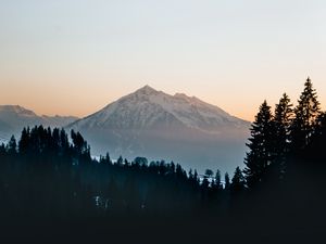 Превью обои гора, вершина, лес, деревья, снег, пейзаж, природа