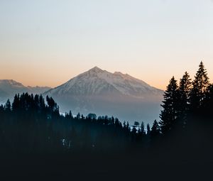 Превью обои гора, вершина, лес, деревья, снег, пейзаж, природа