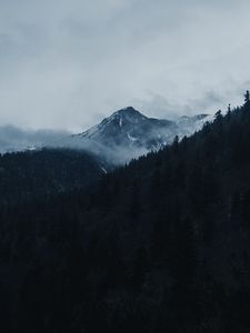 Превью обои гора, вершина, облака, деревья, пейзаж