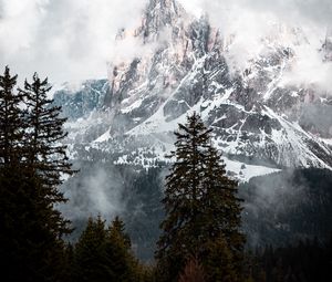 Превью обои гора, вершина, облака, снег, деревья, пейзаж