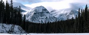 Превью обои гора, вершина, река, лес, снег, заснеженный