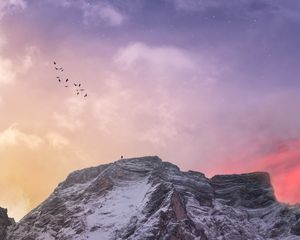 Превью обои гора, вершина, силуэт, птицы, небо, звезды