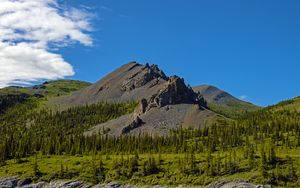 Превью обои гора, вершина, скалы, ель, деревья