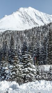 Превью обои гора, вершина, снег, деревья, зима