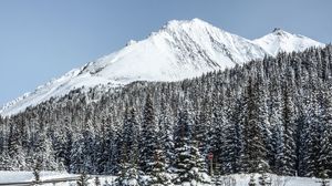 Превью обои гора, вершина, снег, деревья, зима