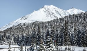 Превью обои гора, вершина, снег, деревья, зима