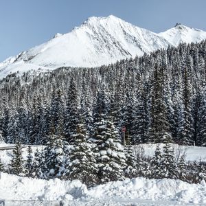 Превью обои гора, вершина, снег, деревья, зима