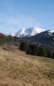 Превью обои гора, вершина, снег, деревья, лес, пейзаж, природа