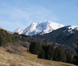 Превью обои гора, вершина, снег, деревья, лес, пейзаж, природа