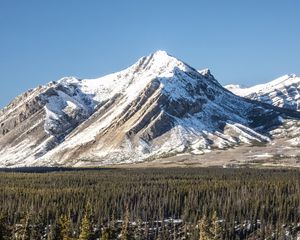 Превью обои гора, вершина, снег, деревья, лес, зима