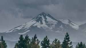Превью обои гора, вершина, снег, заснеженный, ель, трава