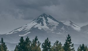 Превью обои гора, вершина, снег, заснеженный, ель, трава