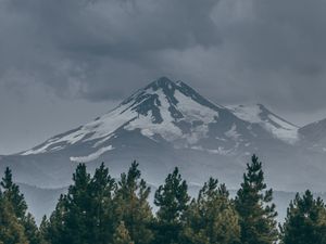 Превью обои гора, вершина, снег, заснеженный, ель, трава