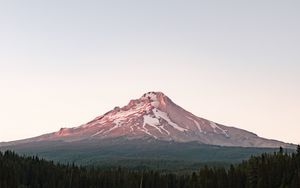 Превью обои гора, вершина, снег, заснеженный, деревья