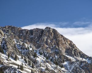 Превью обои гора, вершина, снег, деревья, склон