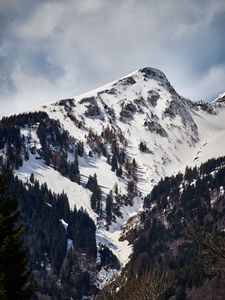 Превью обои гора, вершина, снег, деревья
