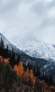 Превью обои гора, вершина, снег, лес, деревья, облака, пейзаж