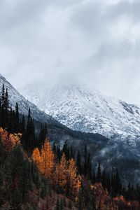 Превью обои гора, вершина, снег, лес, деревья, облака, пейзаж