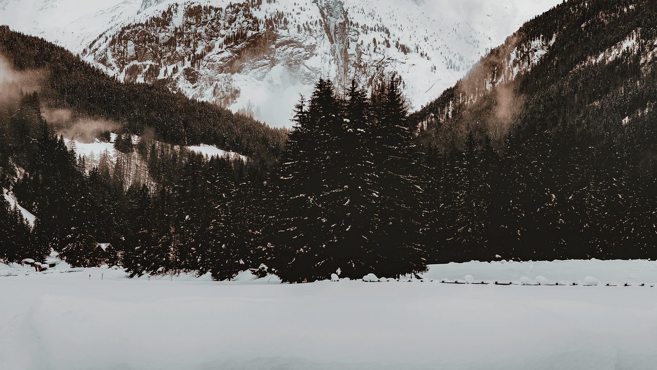 Обои гора, вершина, снег, деревья, зима, природа
