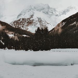 Превью обои гора, вершина, снег, деревья, зима, природа