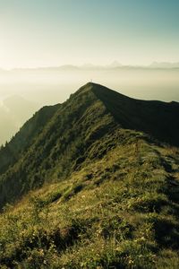 Превью обои гора, вершина, солнечный свет, туман, трава