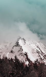 Превью обои гора, вершина, туман, облака, заснеженный, снег