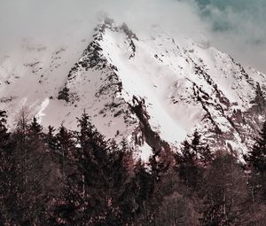 Превью обои гора, вершина, туман, облака, заснеженный, снег