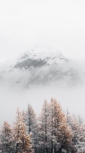 Превью обои гора, вершина, туман, деревья, пейзаж, зима