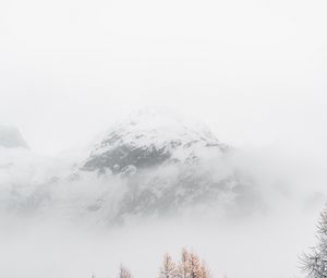 Превью обои гора, вершина, туман, деревья, пейзаж, зима