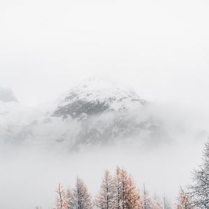 Превью обои гора, вершина, туман, деревья, пейзаж, зима