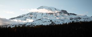 Превью обои гора, вершина, заснеженный, лес, деревья