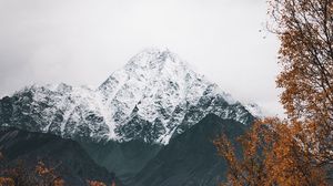 Превью обои гора, вершина, заснеженный, деревья, пейзаж