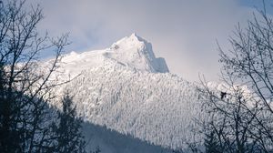 Превью обои гора, вершина, заснеженный, деревья, склон