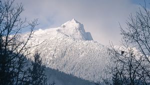 Превью обои гора, вершина, заснеженный, деревья, склон