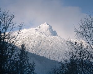 Превью обои гора, вершина, заснеженный, деревья, склон