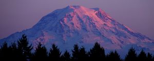 Превью обои гора, вершина, заснеженный, сумерки, деревья