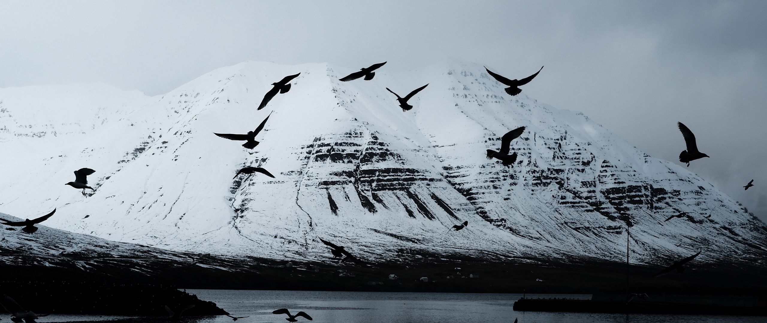 Crow mountains. Горы вороны. Ворон в горах. Ворон над горами. Ворона в горах.