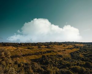 Превью обои гора, восход, облака, трава