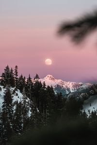 Превью обои гора, заснеженный, небо, ветки, луна
