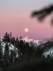 Превью обои гора, заснеженный, небо, ветки, луна