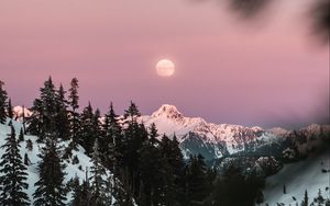 Превью обои гора, заснеженный, небо, ветки, луна