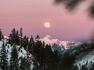 Превью обои гора, заснеженный, небо, ветки, луна