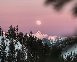 Превью обои гора, заснеженный, небо, ветки, луна