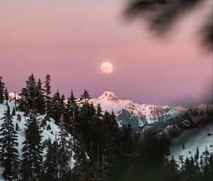 Превью обои гора, заснеженный, небо, ветки, луна