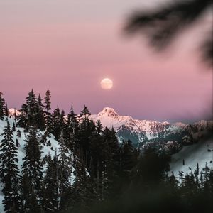Превью обои гора, заснеженный, небо, ветки, луна