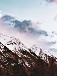 Превью обои гора, заснеженный, вершина, деревья, небо