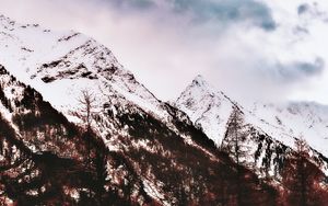 Превью обои гора, заснеженный, вершина, деревья, небо