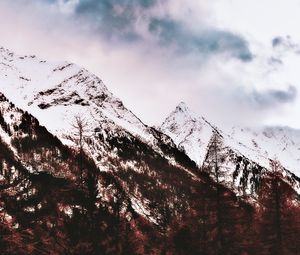 Превью обои гора, заснеженный, вершина, деревья, небо