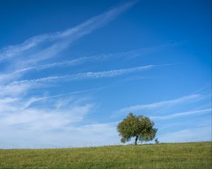 Превью обои горизонт, дерево, трава, небо, природа, облака